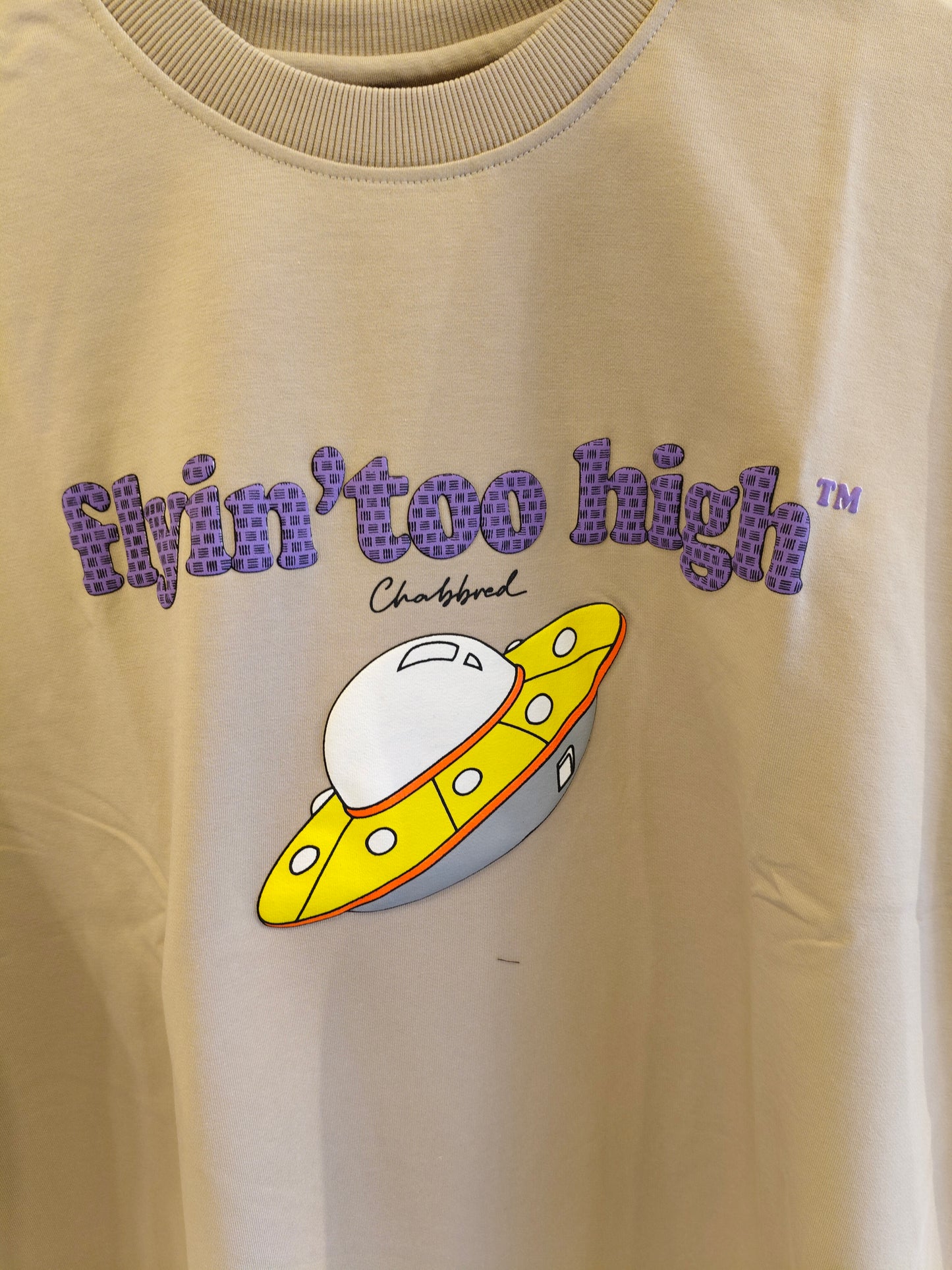 NEXT Printed Oversized Fit Round Neck T-shirt (LARGE)