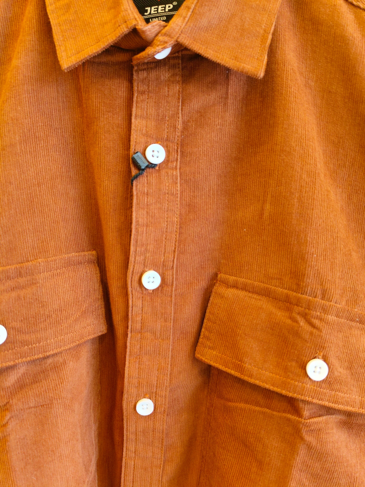 Old Money Shirt (LARGE)
