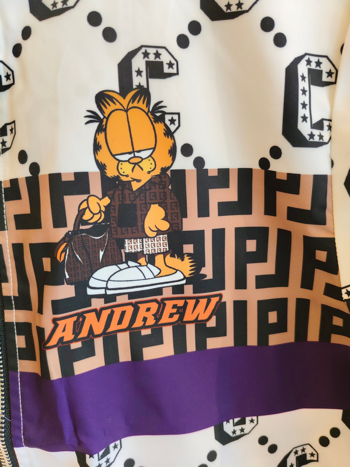 Varsity Jacket (Large)