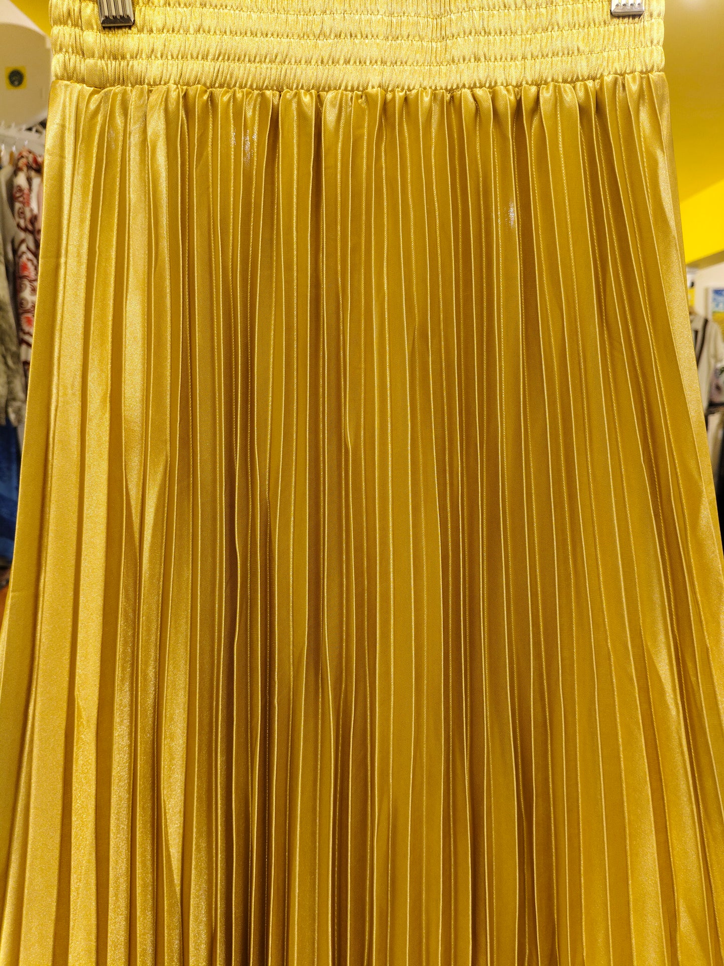 Women's Pleated Flared Maxi Skirt