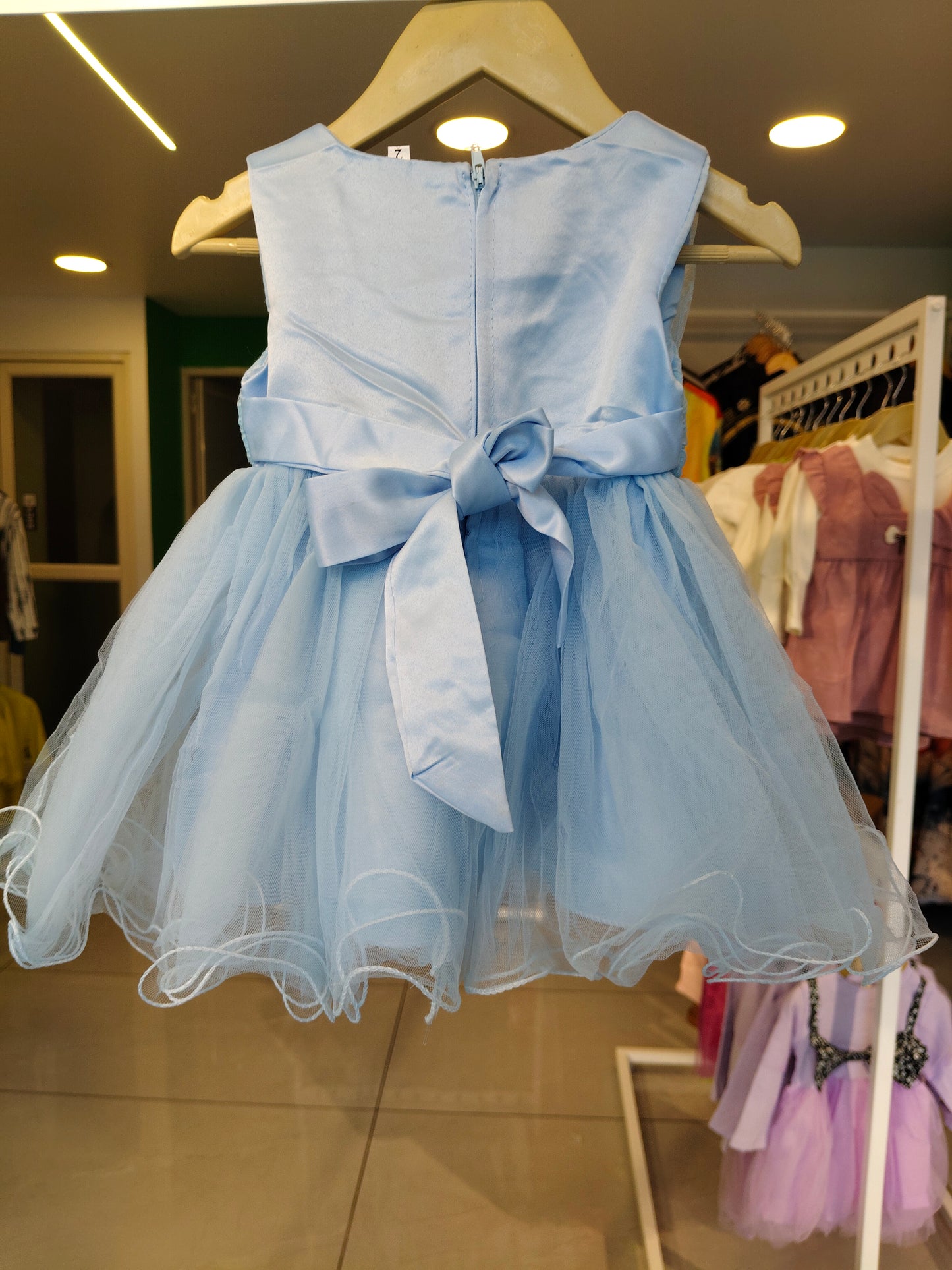 Toddler Girls' Sleeveless Tulle Party Dress (SIZE 2)