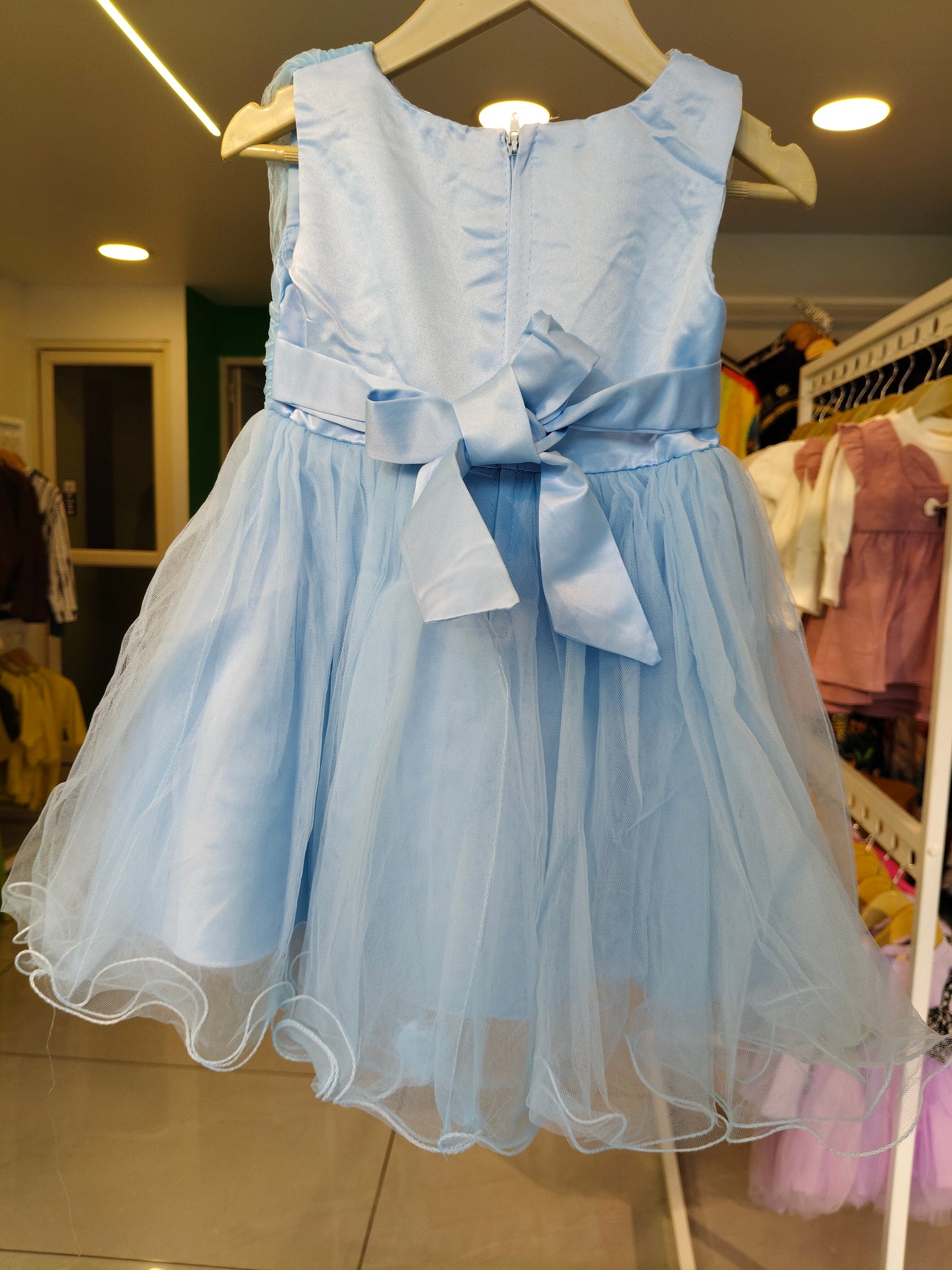 Toddler Girls' Sleeveless Tulle Party Dress (SIZE 4)