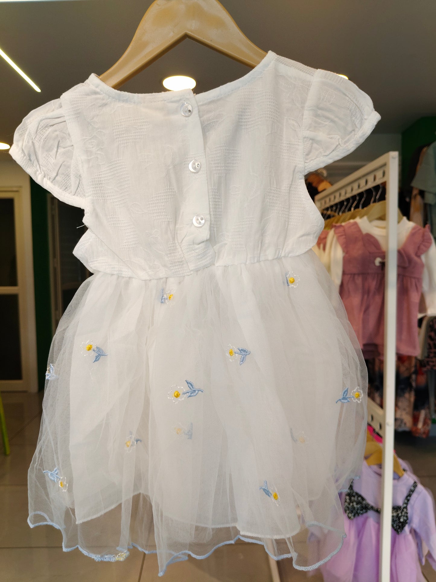 Toddler Girls' Embroidered Floral Tulle Dress (MEDIUM)