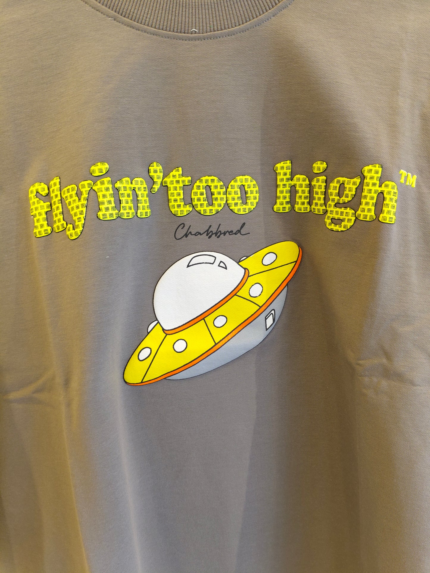 NEXT Printed Oversized Fit Round Neck T-shirt (LARGE)