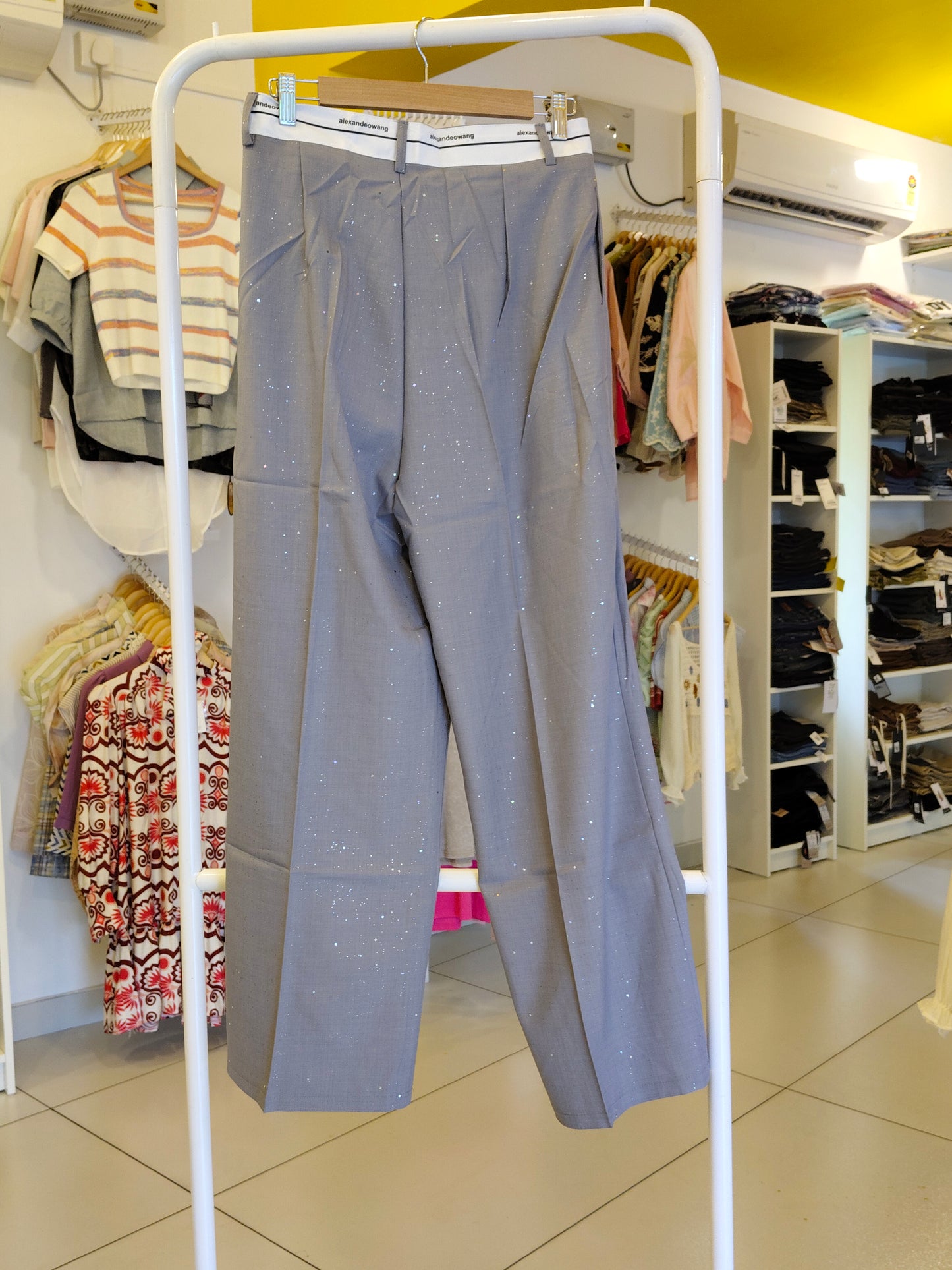 Loose Fit Party Wear Pants For Women (LARGE)