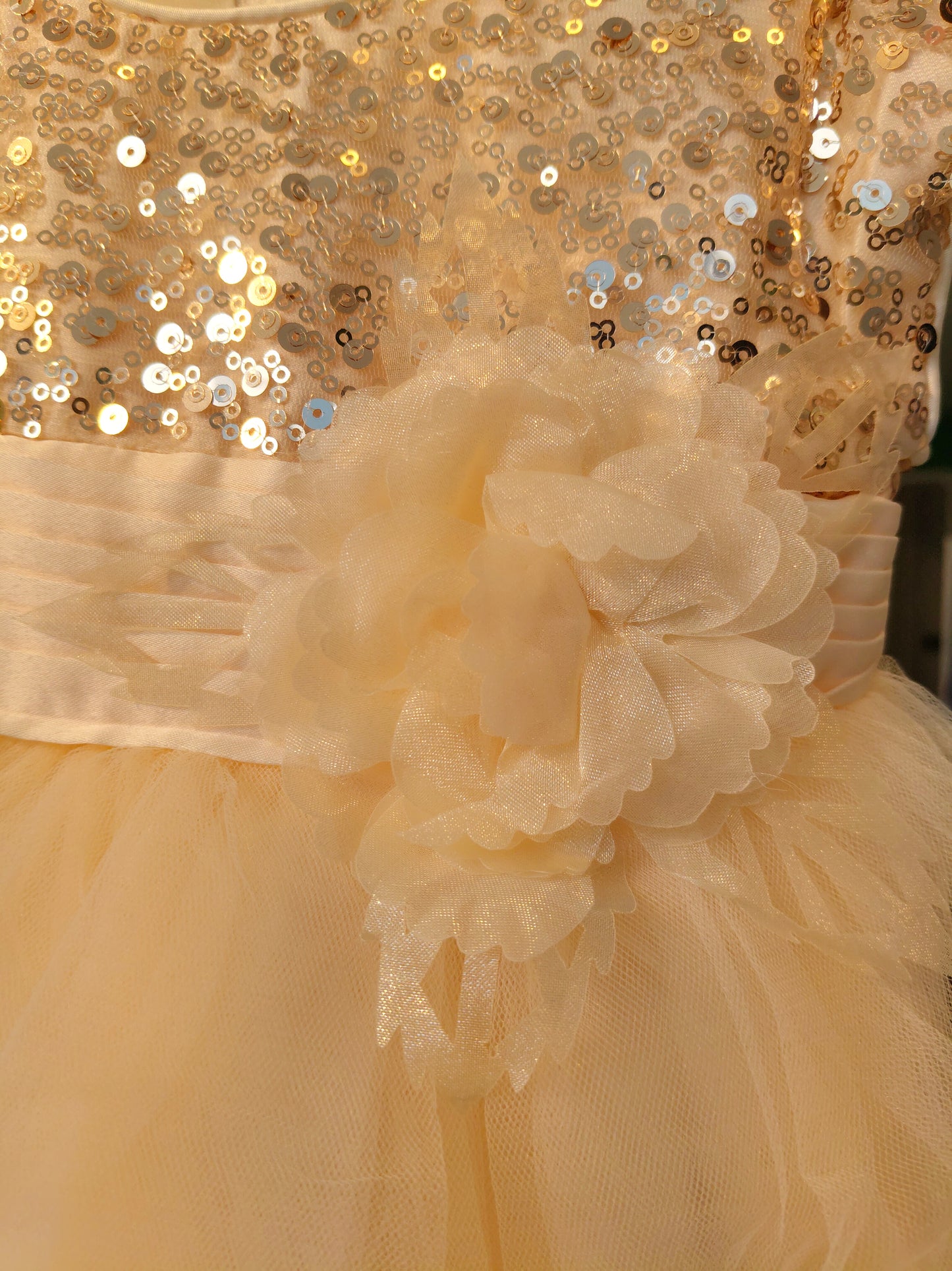 Toddler Girls' Sequin Tulle  Party Dress ( SIZE 4)