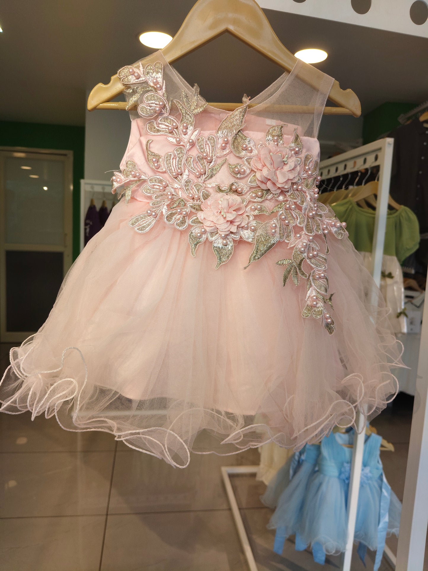 Toddler Girls' Sleeveless Floral Tulle Party Dress  ( SIZE 2)