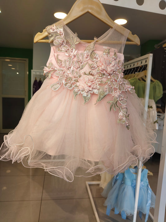 Toddler Girls' Sleeveless Floral Tulle Party Dress  ( SIZE 2)