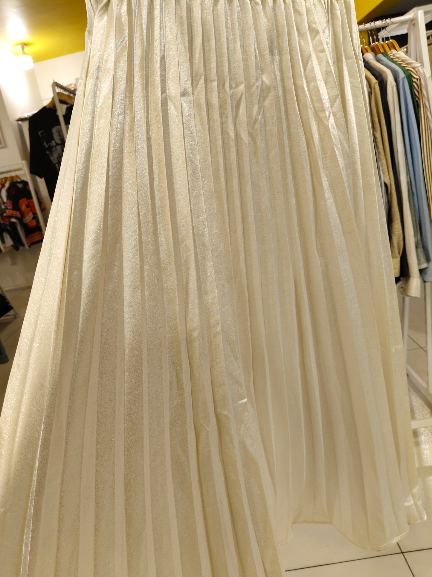 Women's Metallic Pleated Skirt