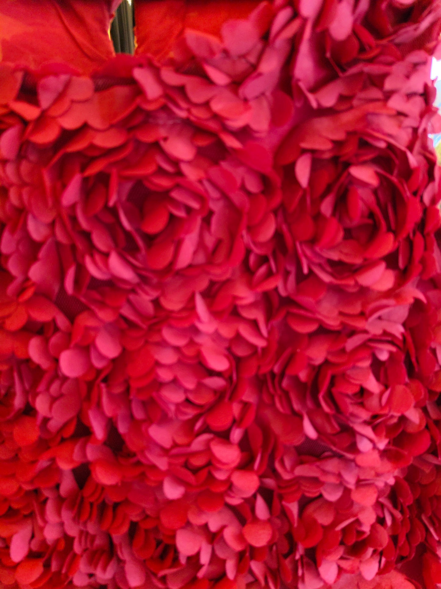 Red Sleeveless Top with Rosettes (FREE SIZE)