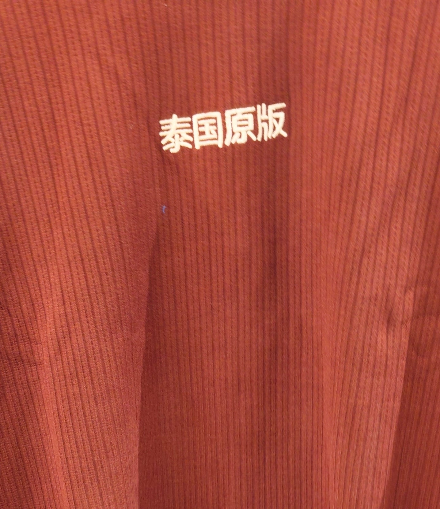 NEXT Sweat shirt  (XL)